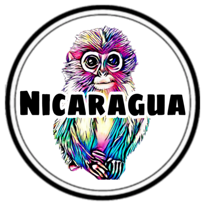 FTO Nicaragua Segovia- 16 oz