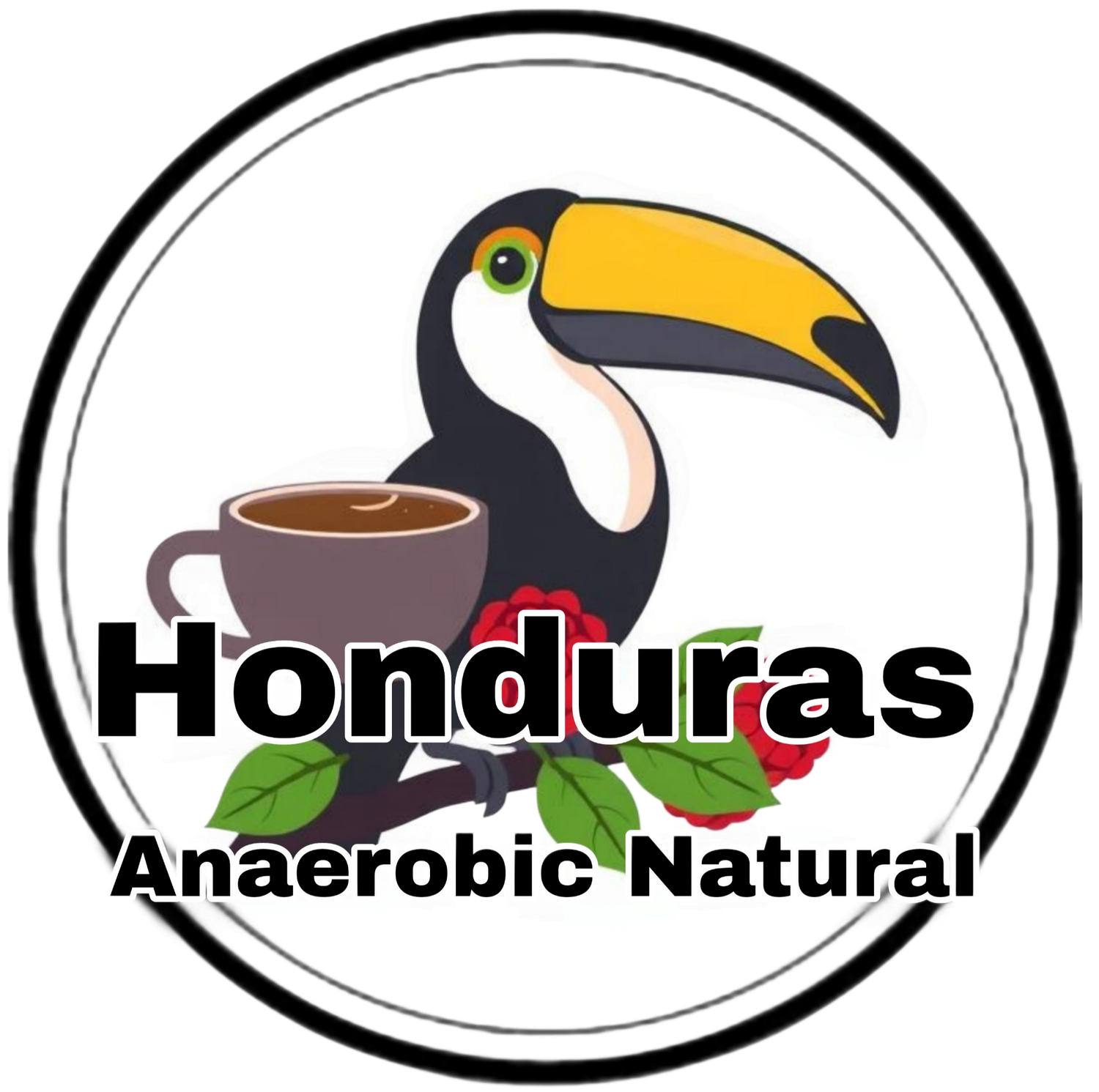 Honduras - Farm Select - Anaerobic Natural 16 oz