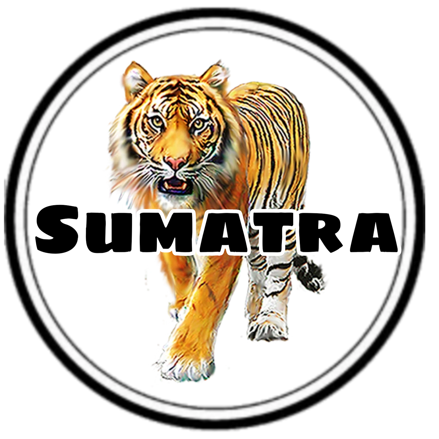 Sumatra Tiger K-cups 12 Count Box