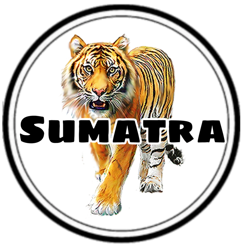 Sumatra Tiger K-cups 12 Count Box