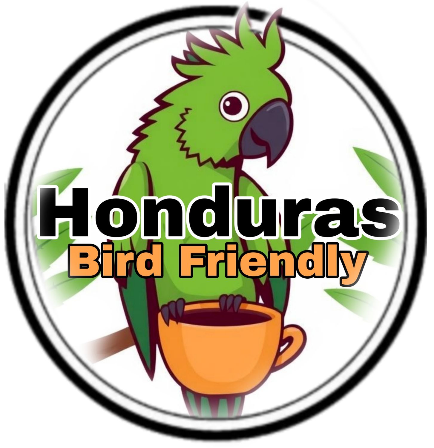 Honduras Fair Trade Organic K-Cups 12 Count Box