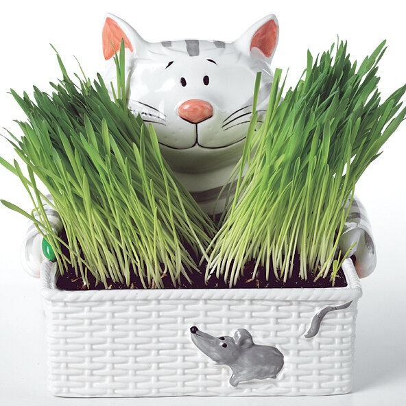 HERBIE GREENFINGERS