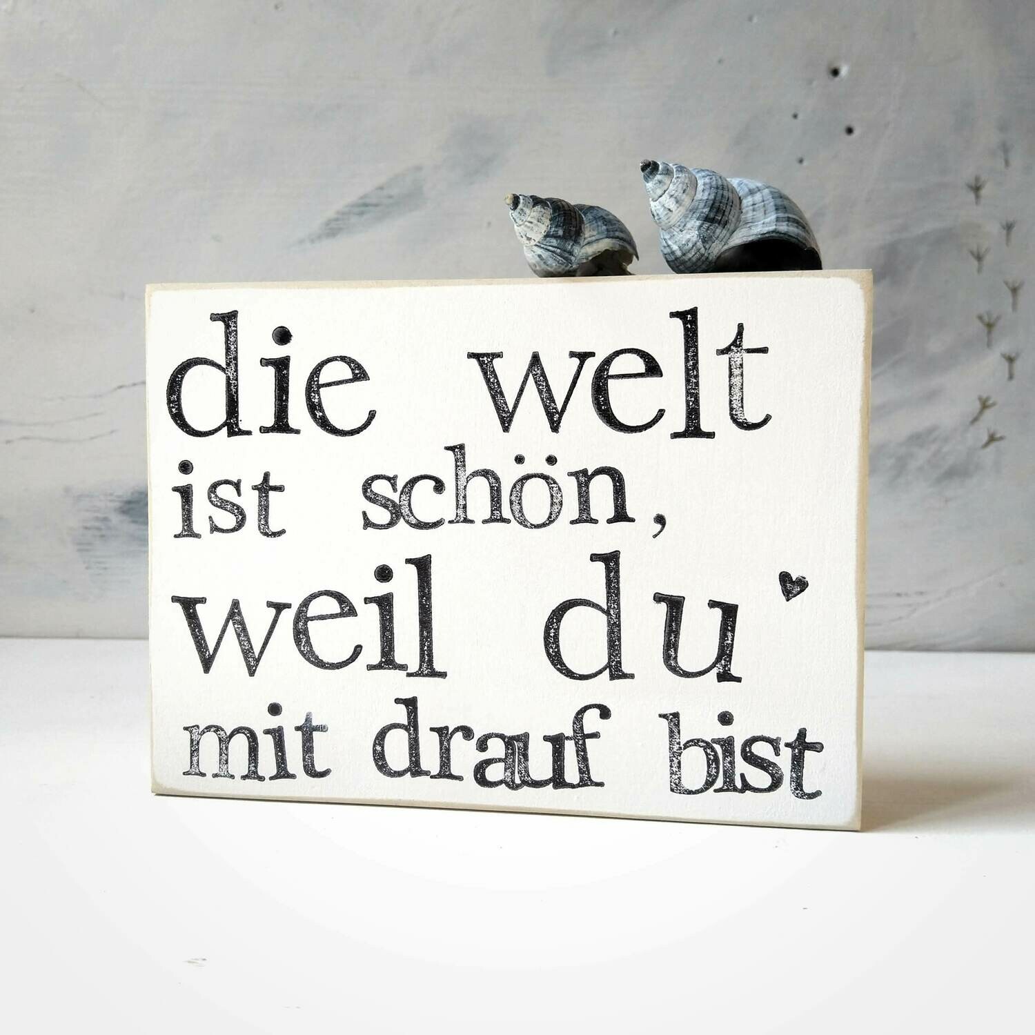 Schild "Die Welt ist schön ..." weiß