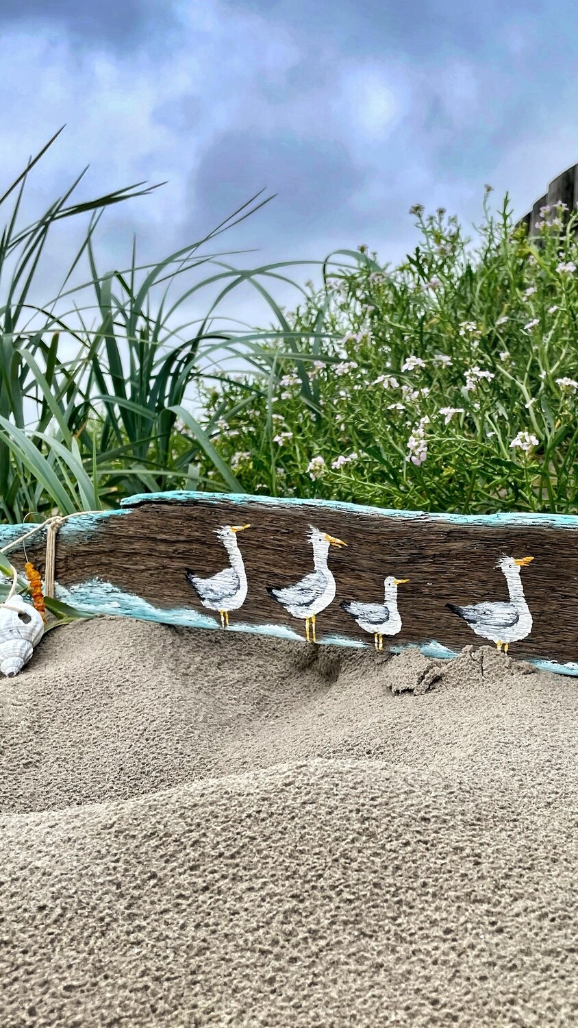 "Sandbank-Tratsch"
Möwchen auf Treibholz