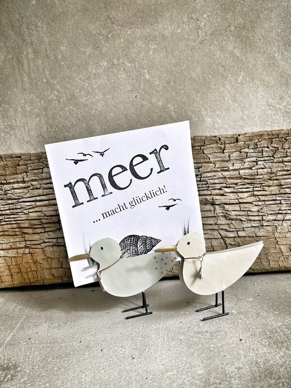 Möwen Klipper Set aus Metall