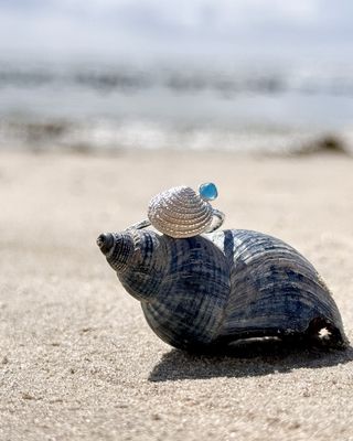 Meerfein ❤️ verstellbarer Ring, handgeschmiedet aus 925er Silber mit Venusmuschel/Stein Meerfein ❤️ verstellbarer Ring, handgeschmiedet aus 925er Silber mit Venusmuschel/Stein
