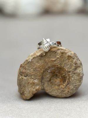 Meerfein ❤️ verstellbarer Ring, handgeschmiedet aus 925er Silber mit Wellhornschnecke