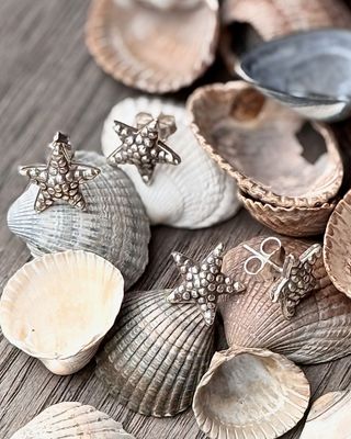 925er Seestern Ohrstecker