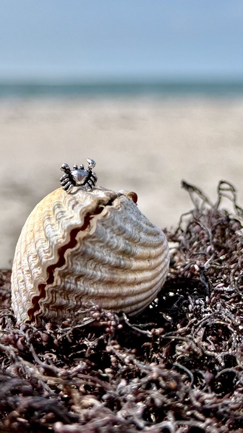 925er Silber Ohrstecker Strandkrabbe