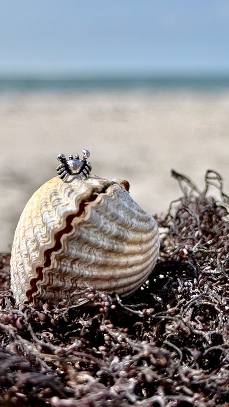 925er Silber Ohrstecker Strandkrabbe 925er Silber Ohrstecker Strandkrabbe