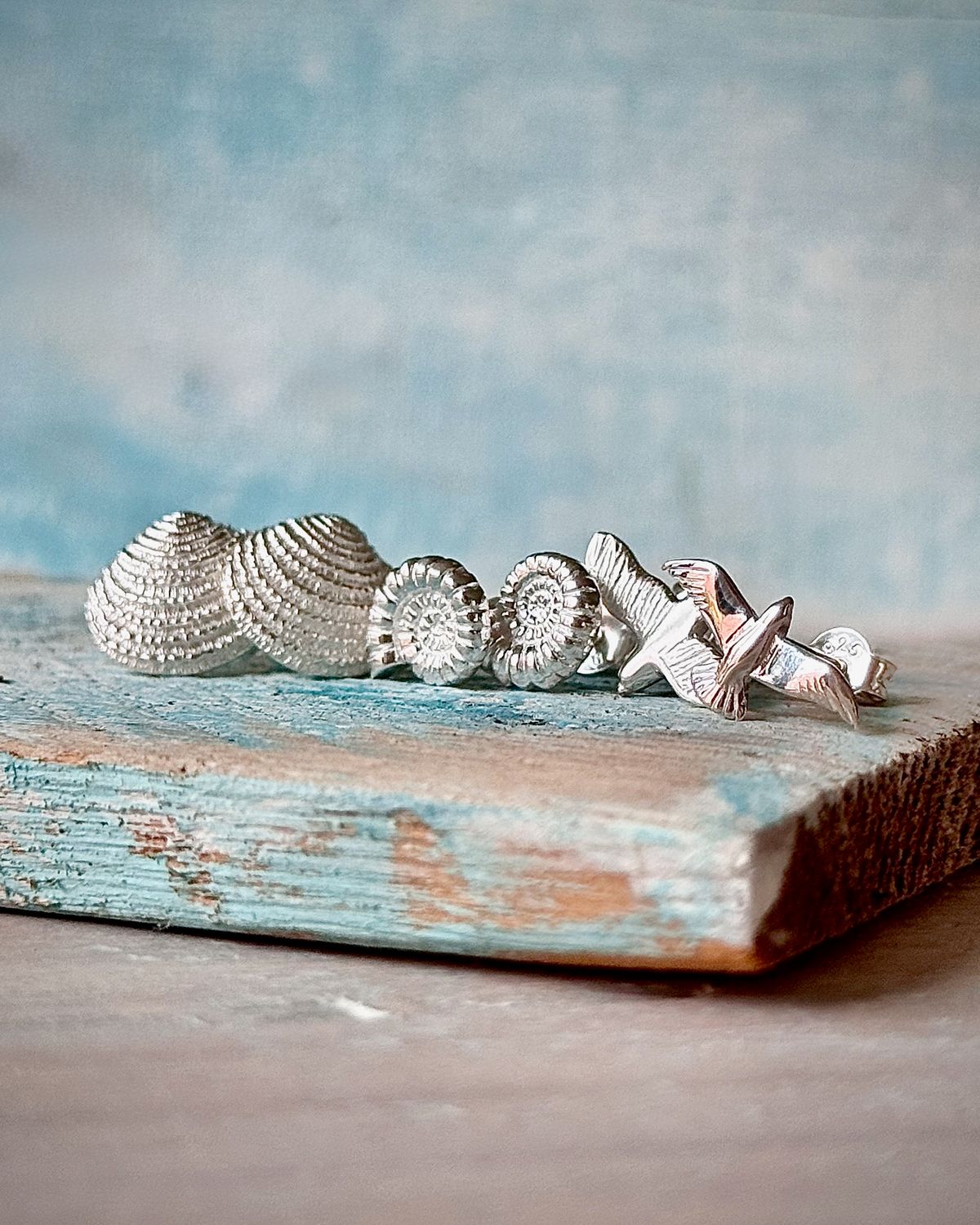 925er Ohrstecker zur Auswahl/Venusmuschel, Möwen oder Ammoniten Design 925er Ohrstecker zur Auswahl/Venusmuschel, Möwen oder Ammoniten Design