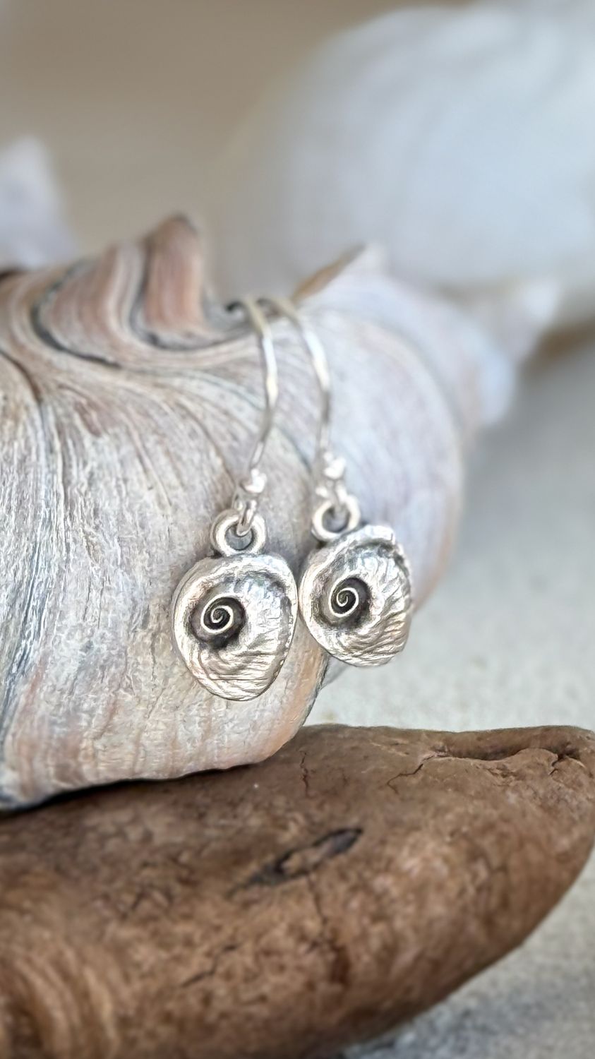 Ohrringe, Motiv Nautilus