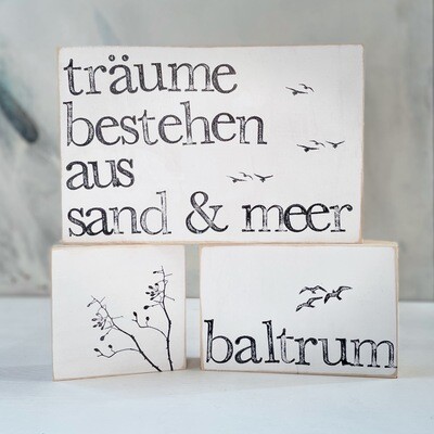 Schild Schild "Träume bestehen aus Sand und Meer"