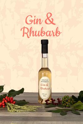 Gin &amp; Rhubarb Liqueur