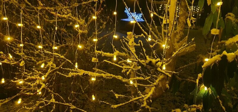 Lichterkette mit Blitzeffekt 24V Lichterkette mit Blitzeffekt 24V