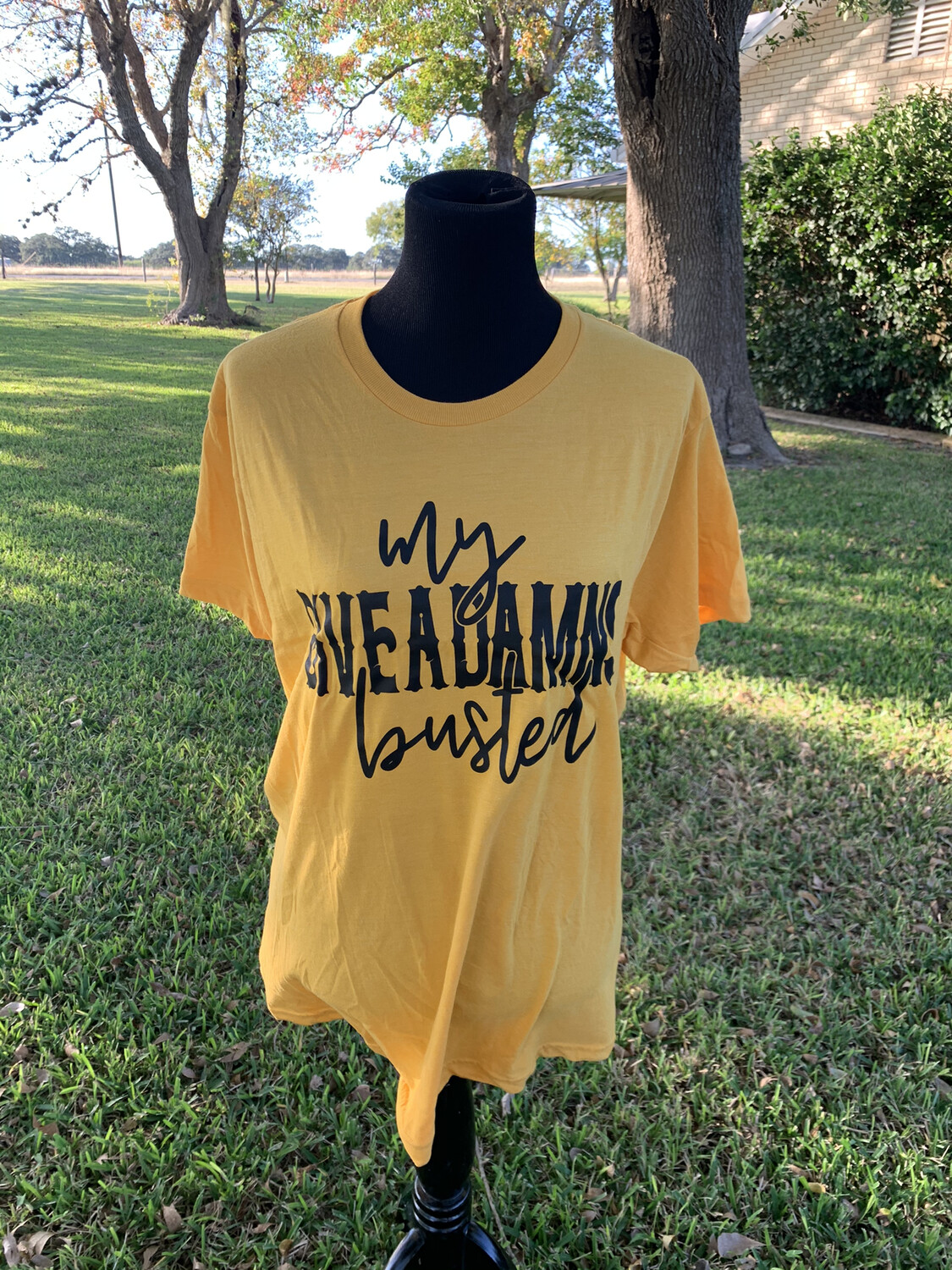 My Give A Damn Is Busted T-Shirt