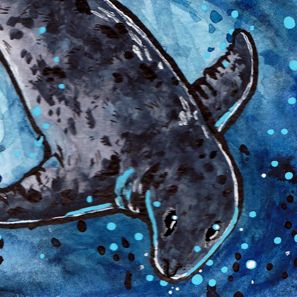 Leopard Seal - Original Art