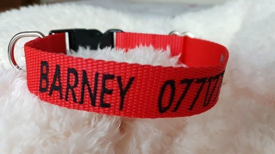 Personalised Webbing Clip Tag Collar
