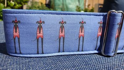 &#39;Where is our Wally?&#39; Design Collar