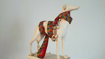 Leads