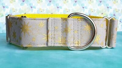 Collar &#39;Gold Star&#39; Martingale, House or Clip