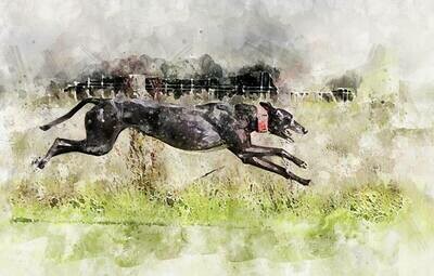 Enrichment For Dogs Ebook For Fundraising