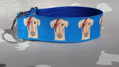 Collar 'Ziggy Star Dog' On Blue Fabric by Jane Wren