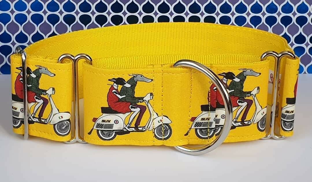 Collar &#39;Brighton Bound Hounds&#39; by James Hardy