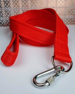 Carabiner Clip Lead For Added Security