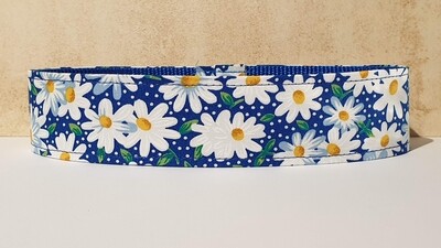 Daisies on Blue Collar