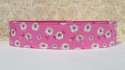 Daisies on Fuschia Collar