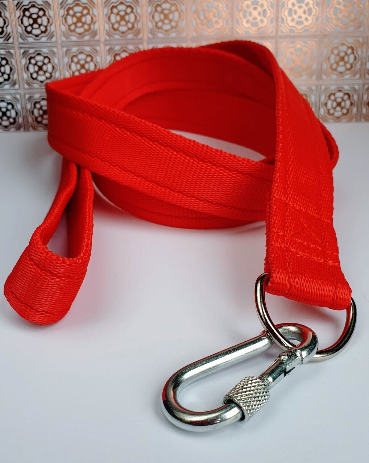 Standard Clip or Training Lead 