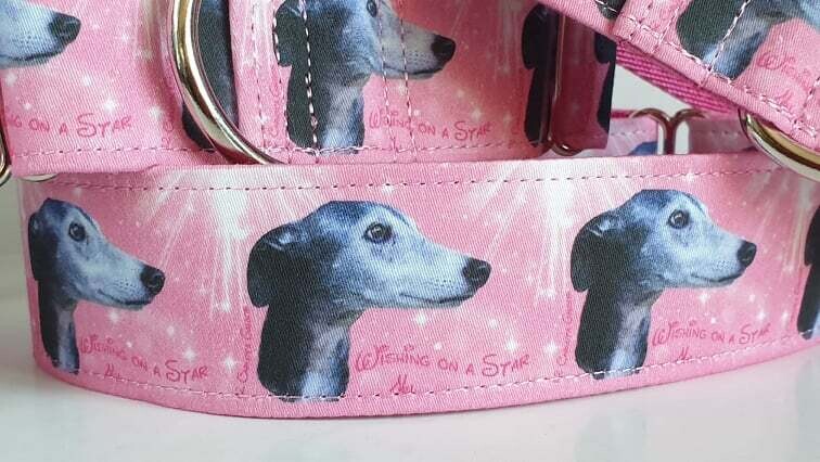 Wishing On A Star Carlota Galgos Fundraiser Collar