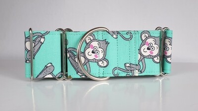 Cheeky Monkey Dog Collar as a Martingale, House or Clip