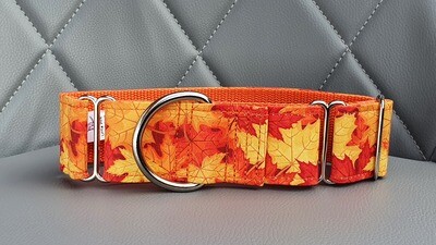 Eye Catching Autumn Leaves Dog Collar