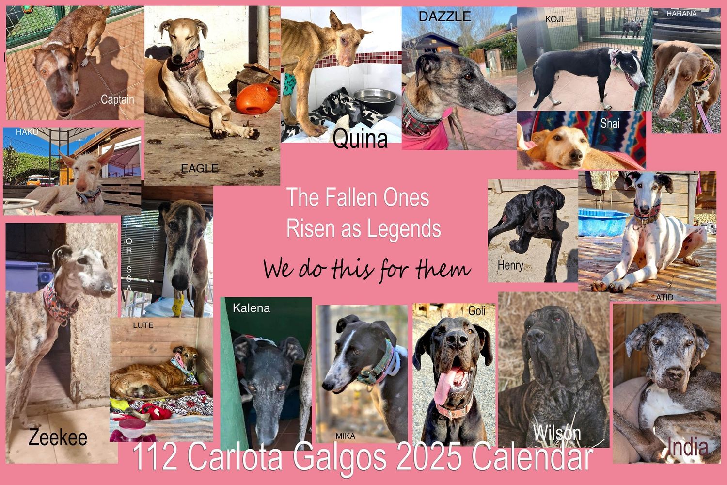 112 Carlota Galgos 2025 Calendar