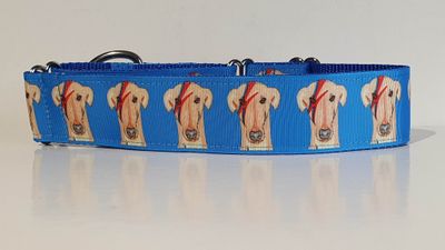 Collar &#39;Ziggy Star Dog&#39; Design in Blue on Grosgrain Ribbon by Jane Wren