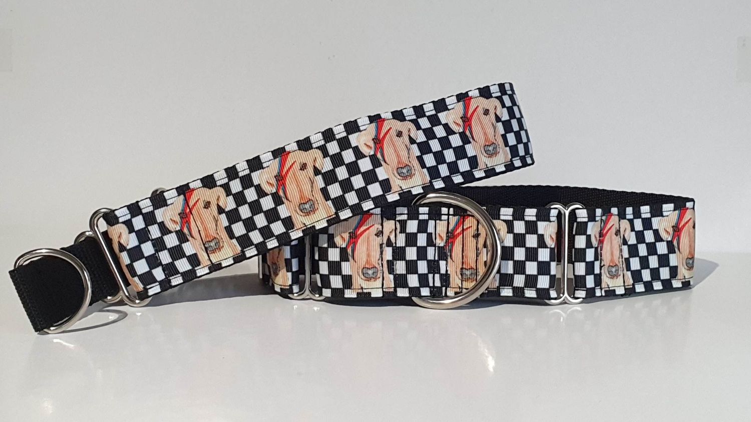 Collar  &#39;Ziggy Star Dog on Check&#39; Design on Grosgrain Ribbon Jane Wren