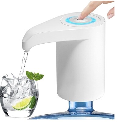 Electric water pump