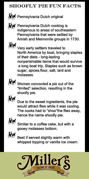 Anna Miller's Shoofly Pie (No Tin)