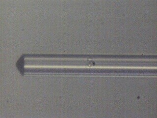 CL1-MM: cone lensed multi- mode fiber, 50/125 um; OM4,