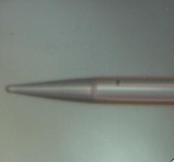 CL5-PM1310: tapered cone lensed 1 meter long PM 1310 fiber, FC/APC