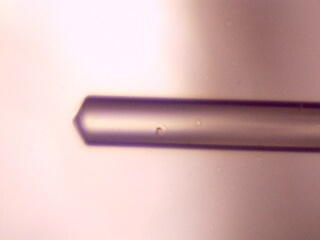 WL3: wedge lensed multi- mode (105/125 um; NA~0.22) optical fiber
