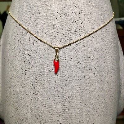 Horn Necklace / Chile Necklace
