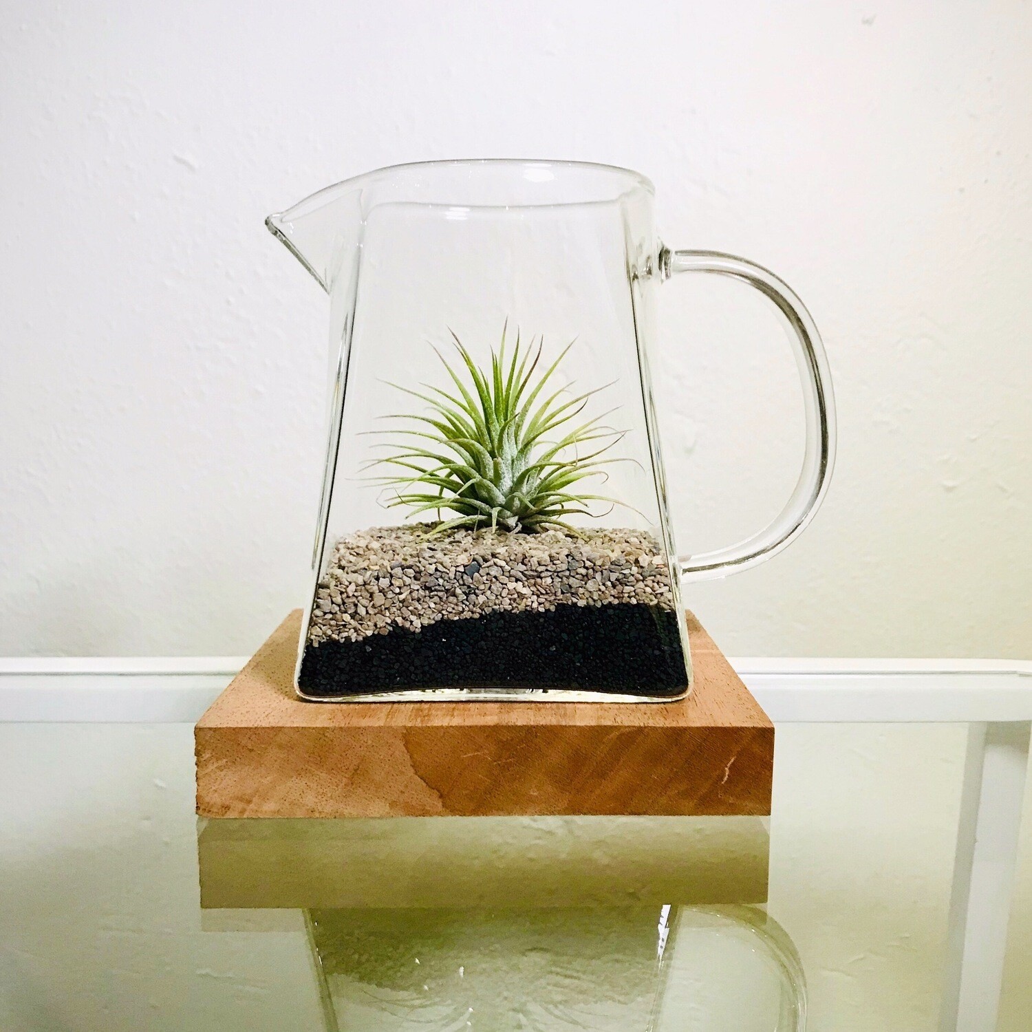 Alice k Terrarium