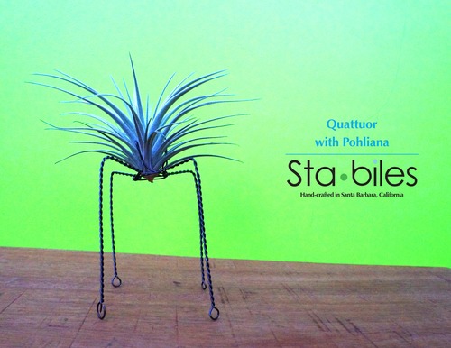 QUATTUOR with Pohliana