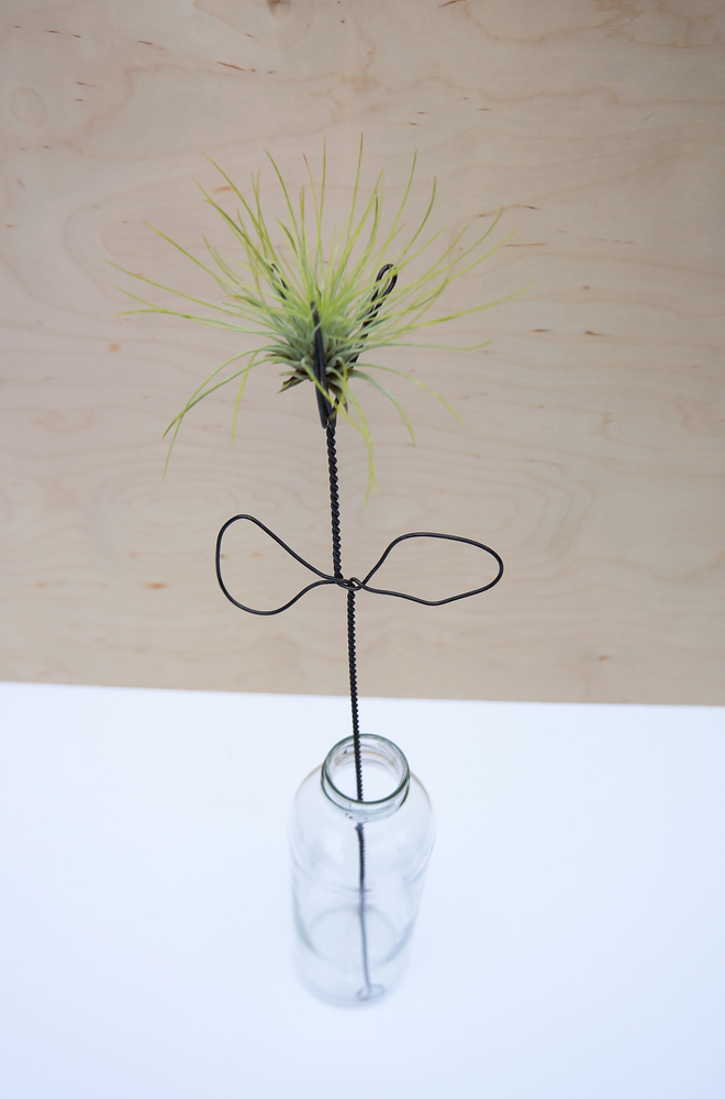 RUFINA VITRIUM