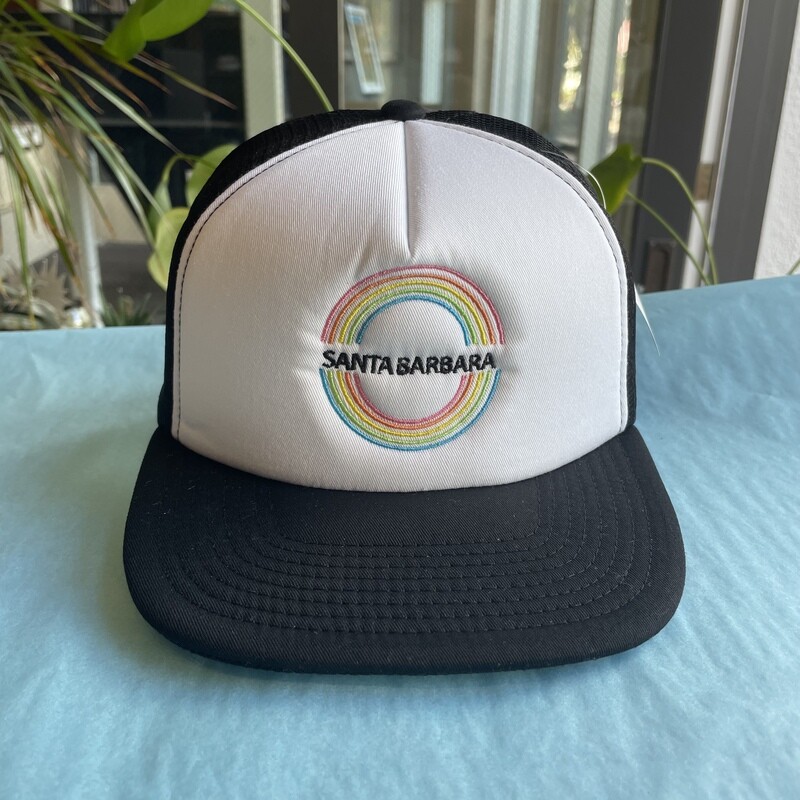Double Rainbow X Sam Guzman Trucker Hat Black