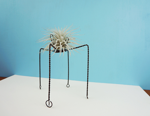 QUATTUOR with Tectorum LG