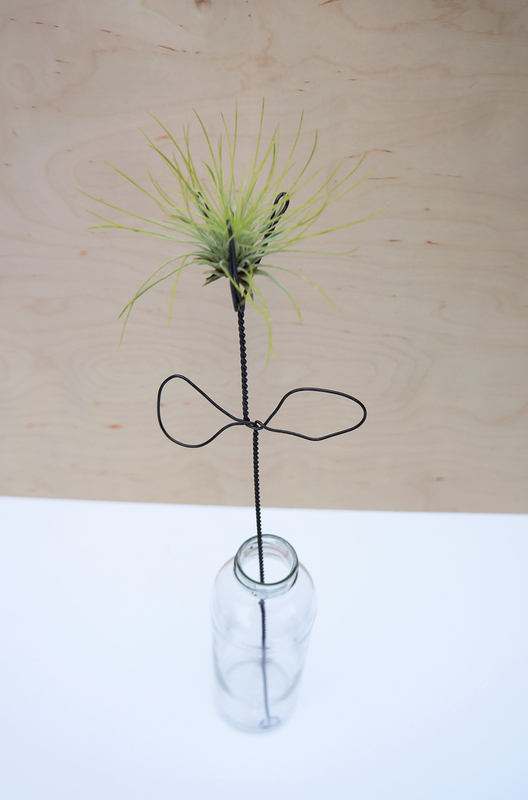 RUFINA VITRIUM